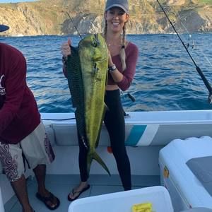 Meet your Posher, Genevieve